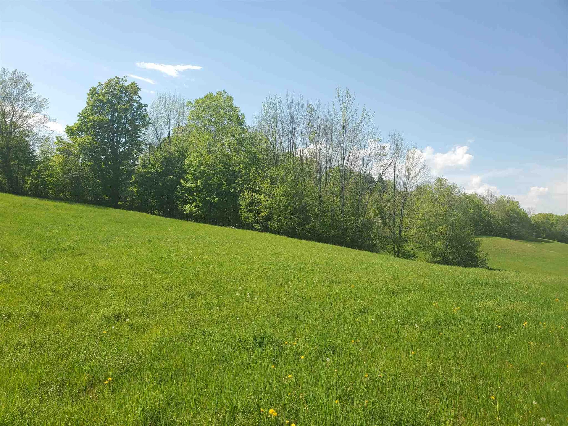 00a Thurston Hollow Corinth VT 05039