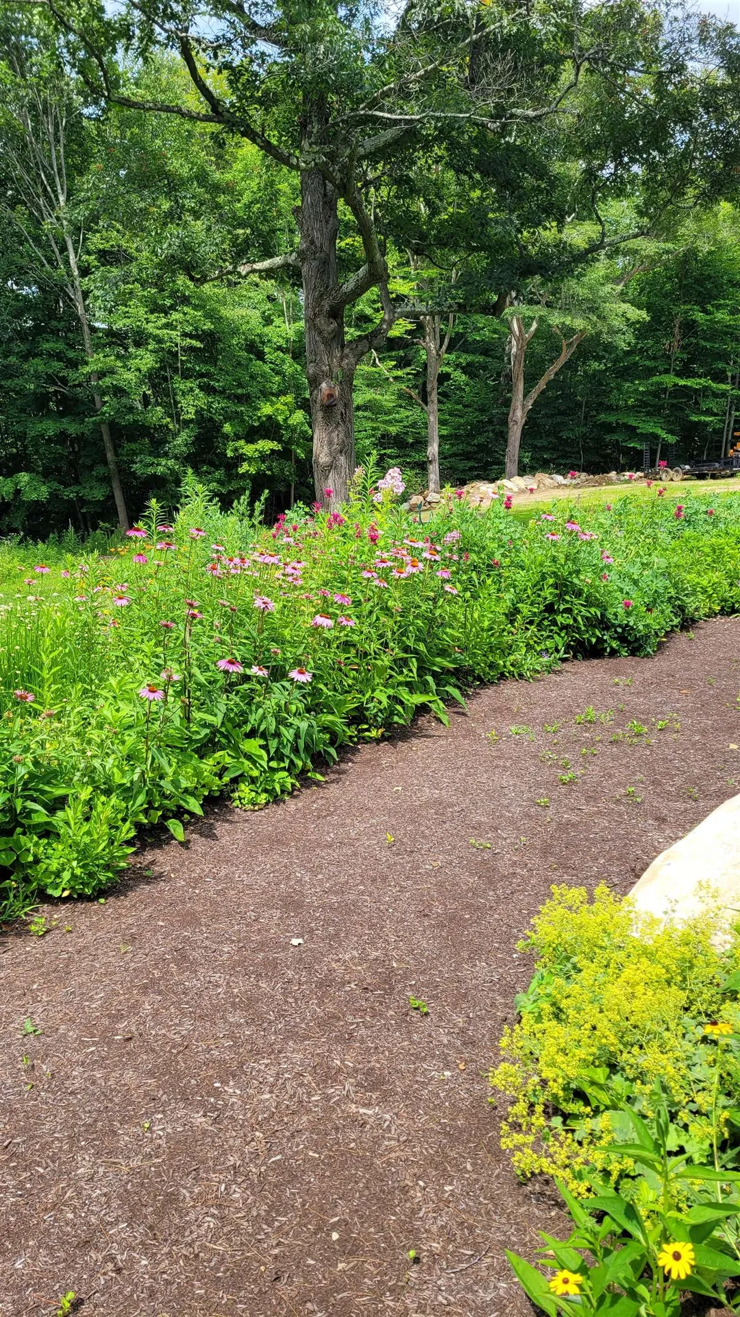 67 Coventry Lane Manchester VT 05255