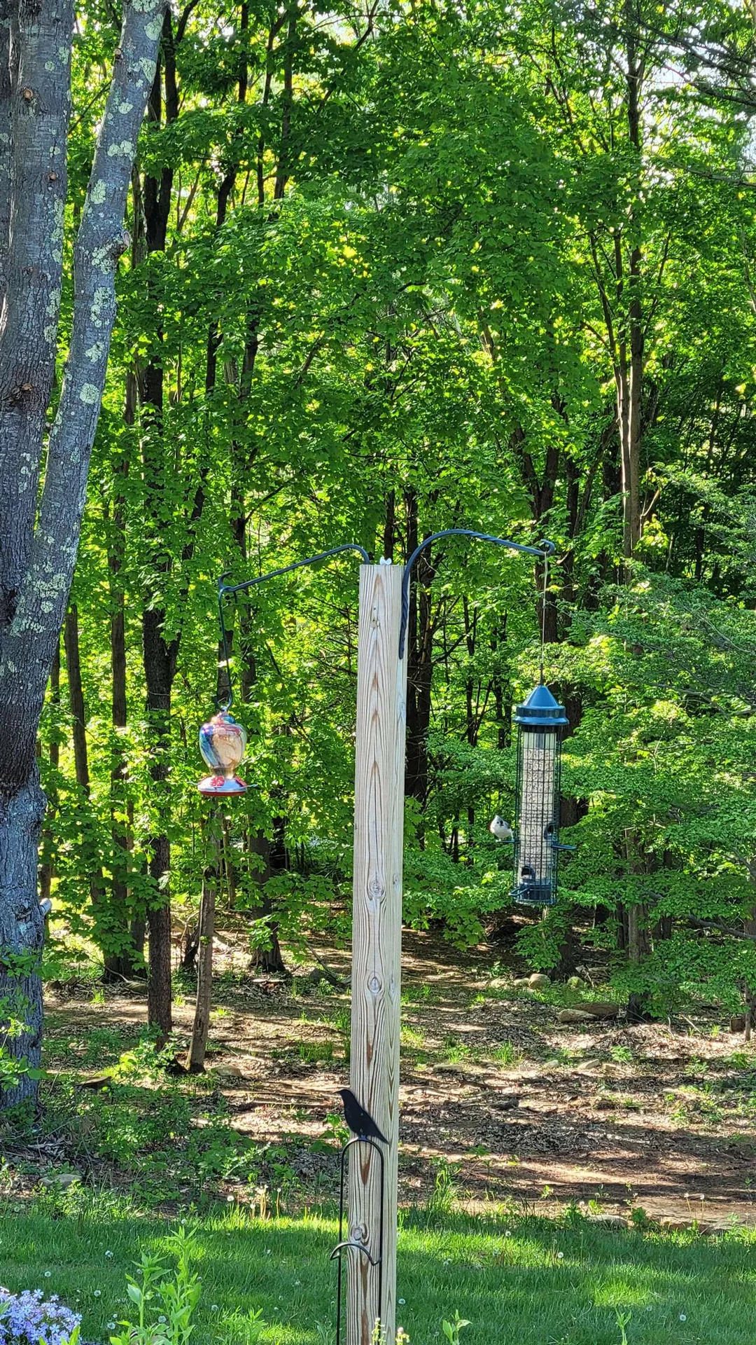 67 Coventry Lane Manchester VT 05255