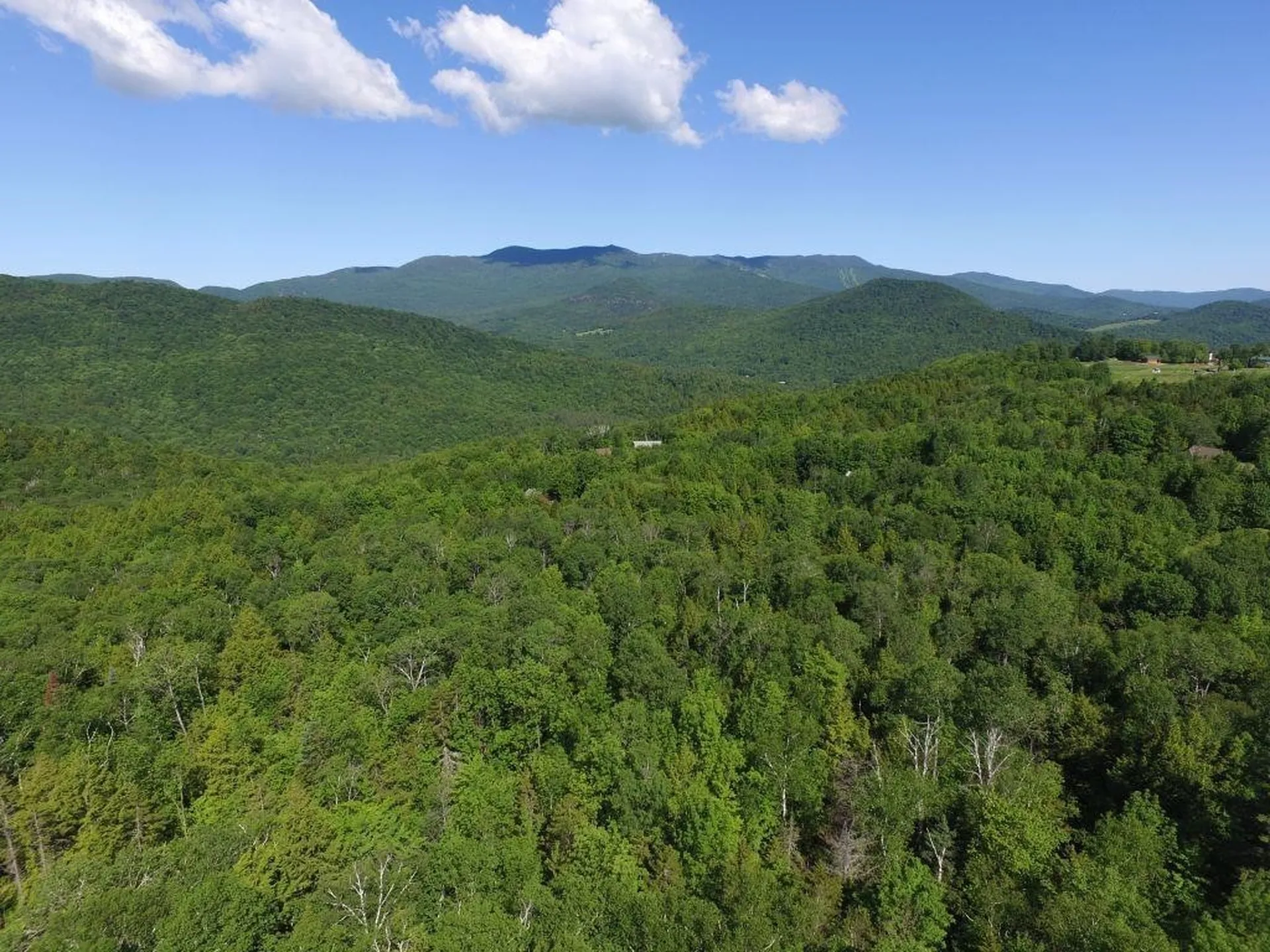 350 Anne Burns Road Warren VT 05674