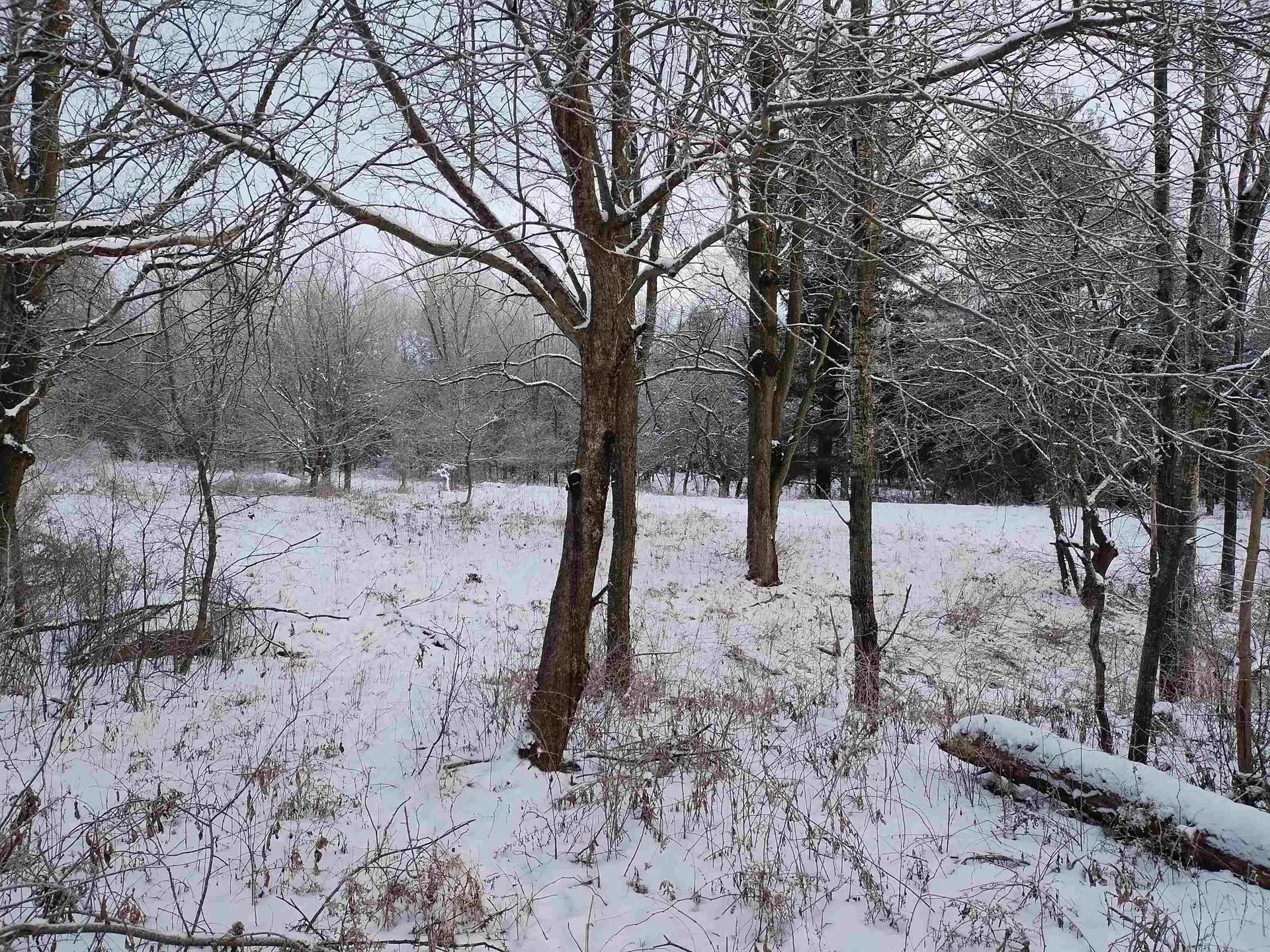 00 Bear Mountain Road Troy VT 05874