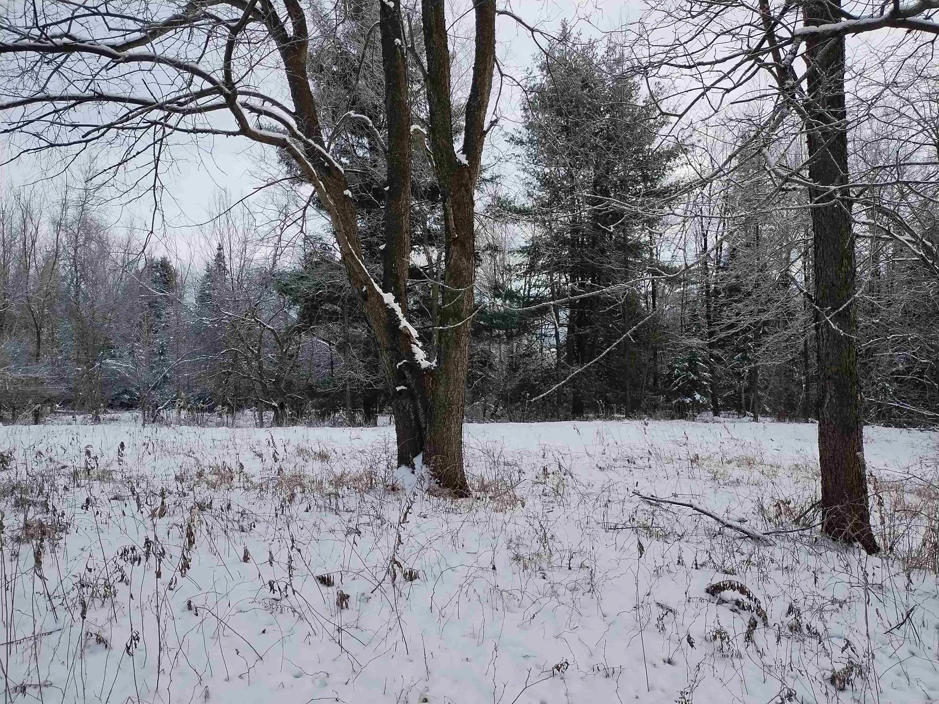 00 Bear Mountain Road Troy VT 05874