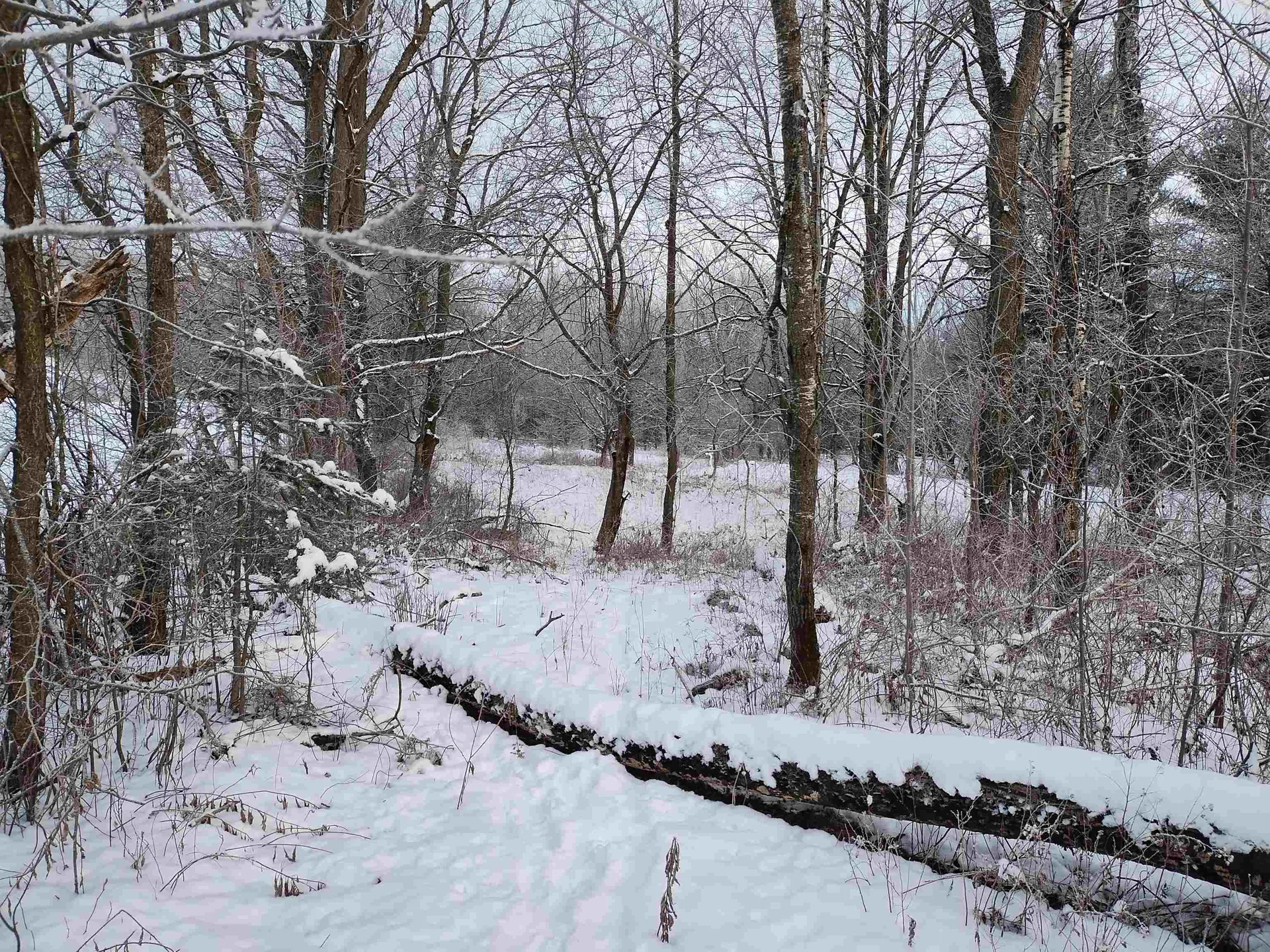 00 Bear Mountain Road Troy VT 05874
