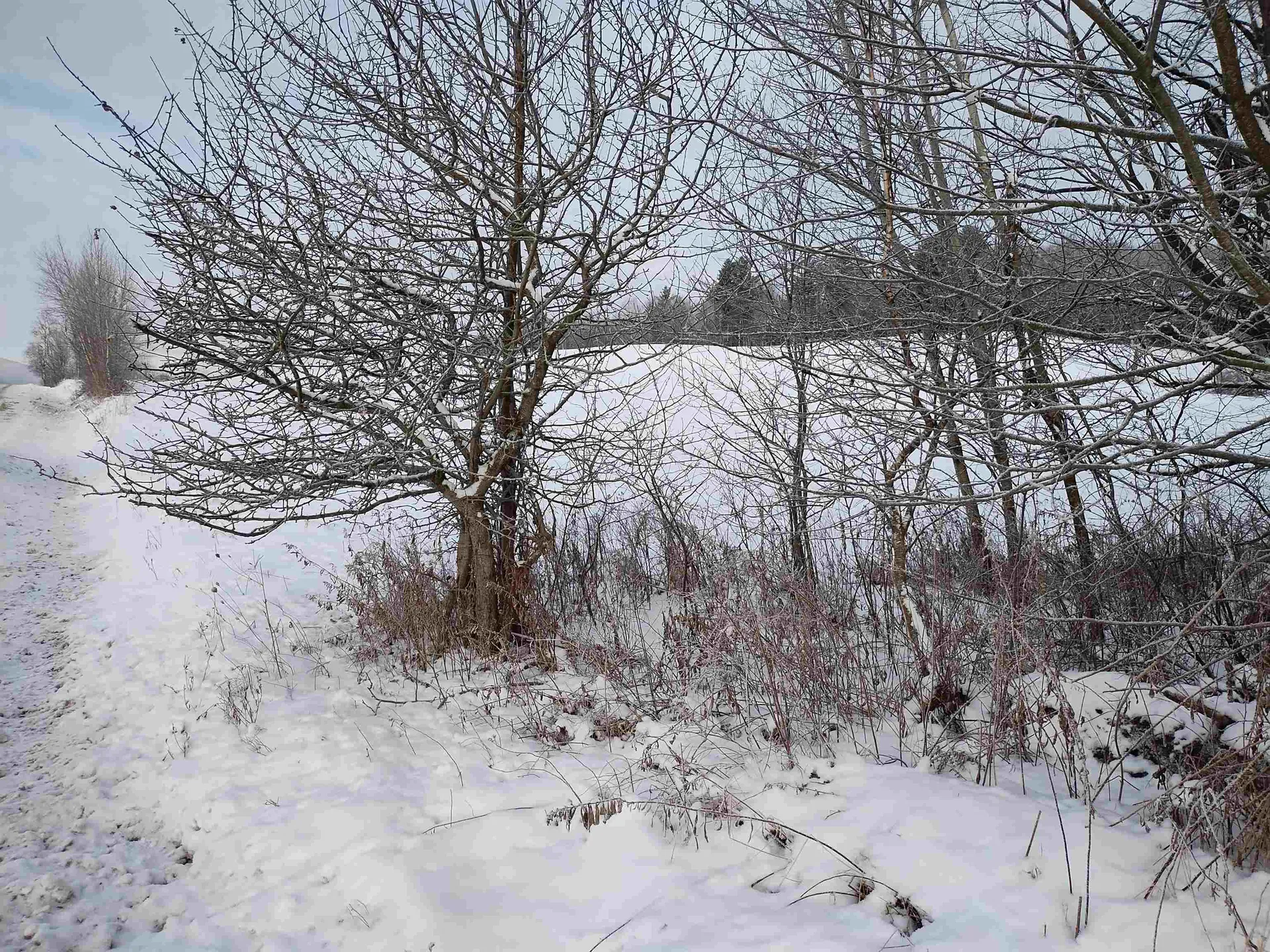 00 Bear Mountain Road Troy VT 05874