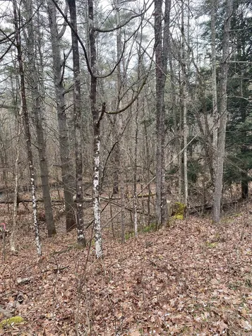 0 Wells Brook Road Wells VT 05774