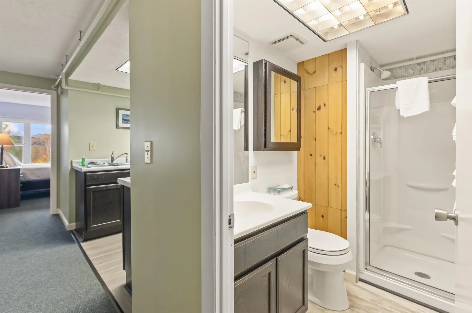 260 Mountainside Avenue Stowe VT 05672