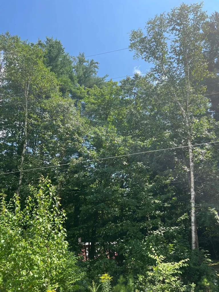 102 Tenney Road Goffstown NH 03045