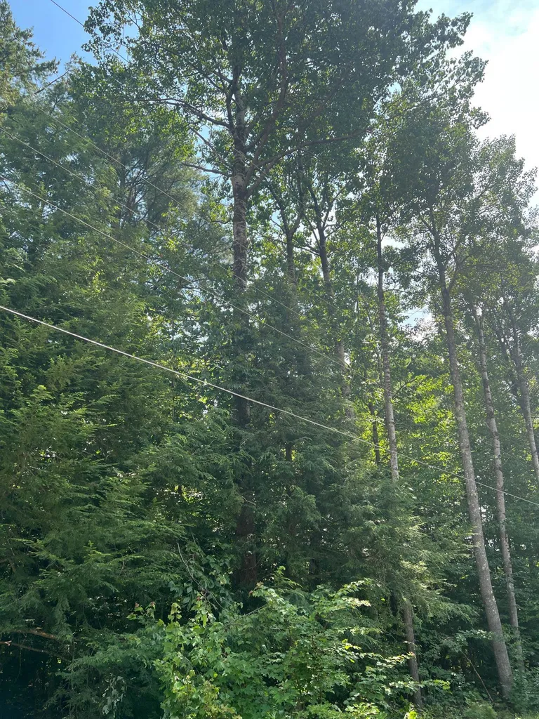 102 Tenney Road Goffstown NH 03045