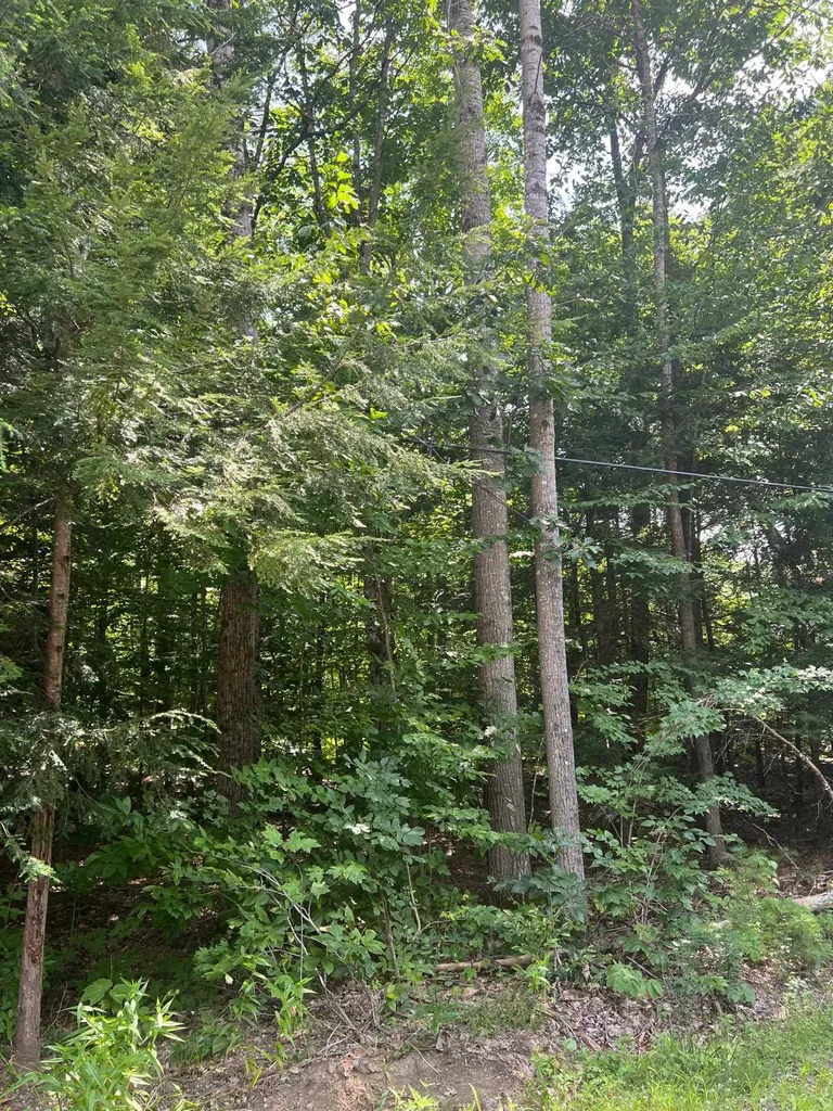 102 Tenney Road Goffstown NH 03045