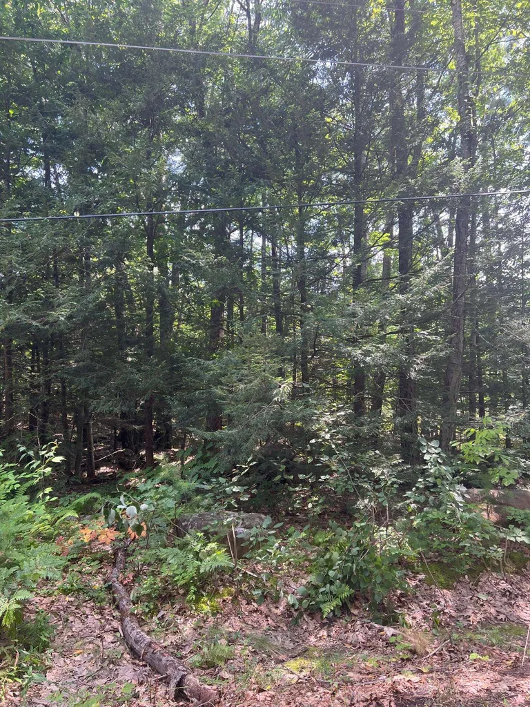 102 Tenney Road Goffstown NH 03045