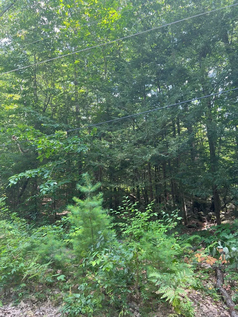 102 Tenney Road Goffstown NH 03045