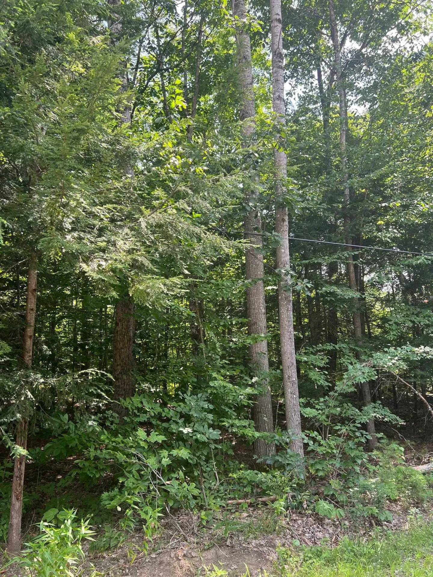 102 Tenney Road Goffstown NH 03045