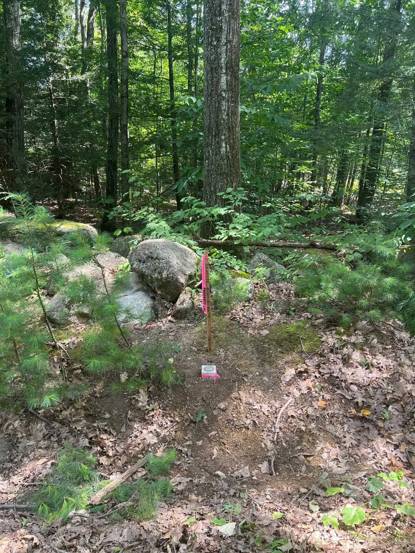 102 Tenney Road Goffstown NH 03045