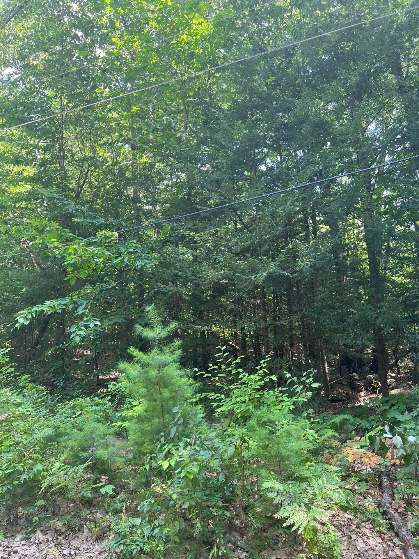 102 Tenney Road Goffstown NH 03045