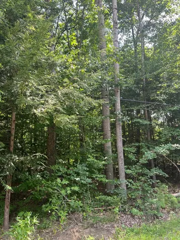 102 Tenney Road Goffstown NH 03045