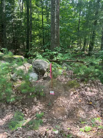 102 Tenney Road Goffstown NH 03045