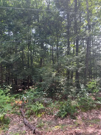 102 Tenney Road Goffstown NH 03045