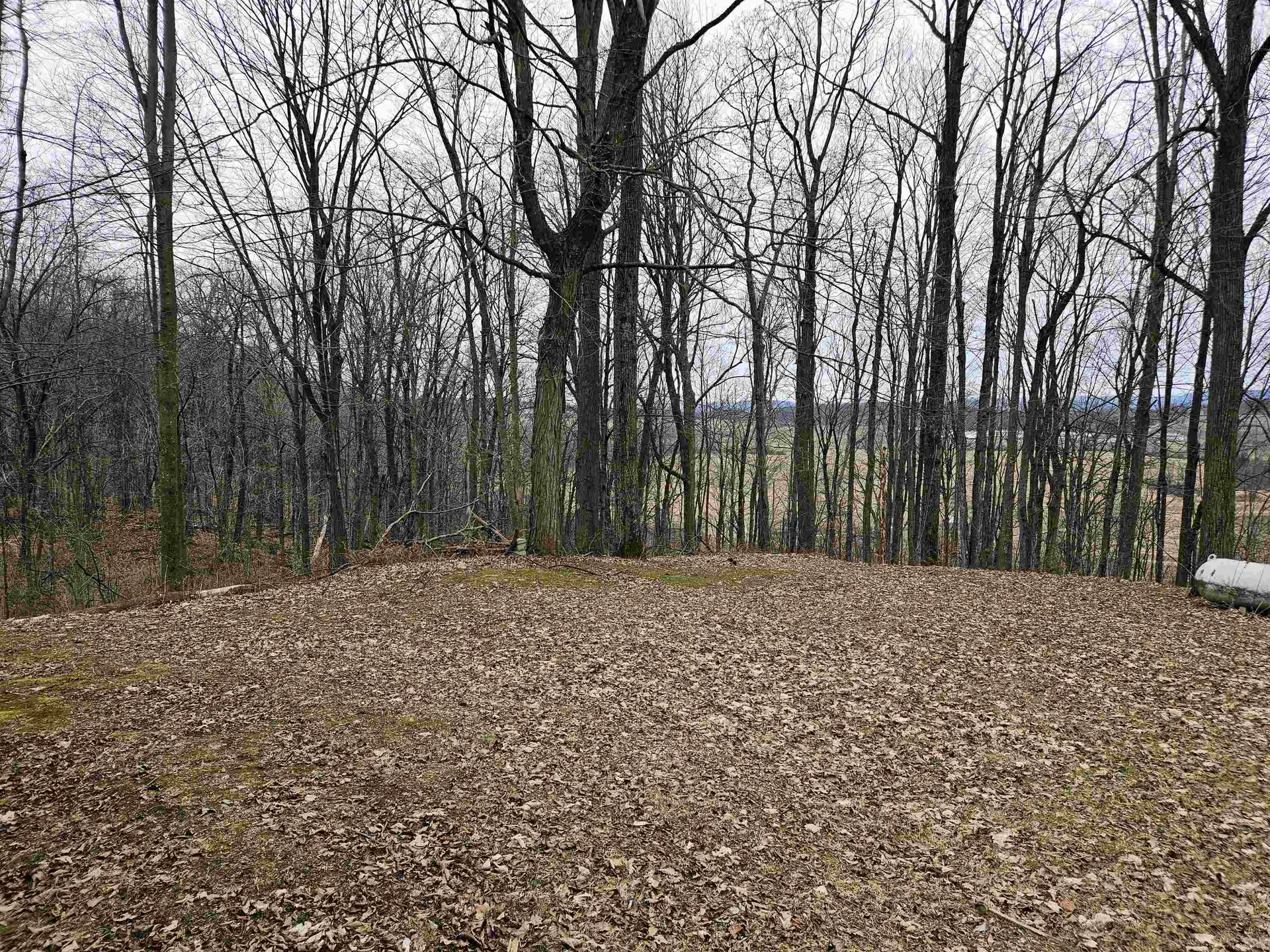 536 Richville Road Shoreham VT 05770