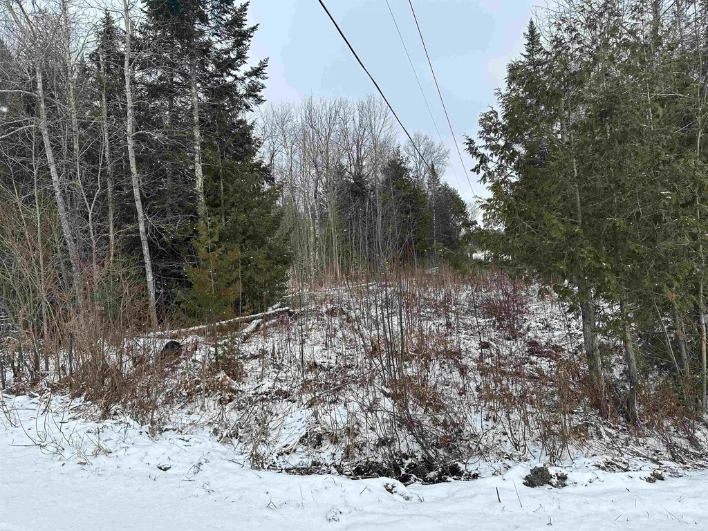 Lot #52 Access Lane Glover VT 05875