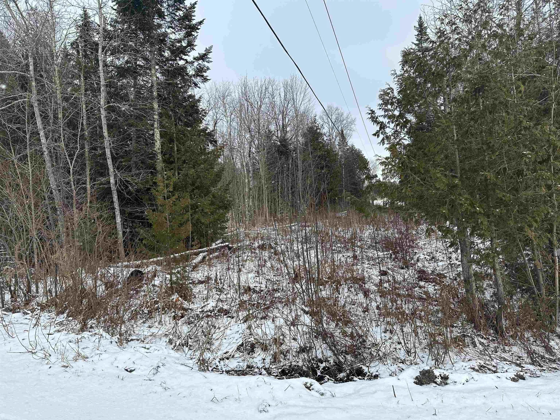 Lot #52 Access Lane Glover VT 05875