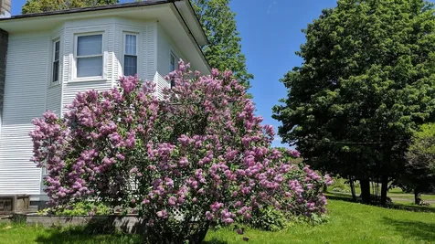 1531 Curtis Road Randolph VT 05061