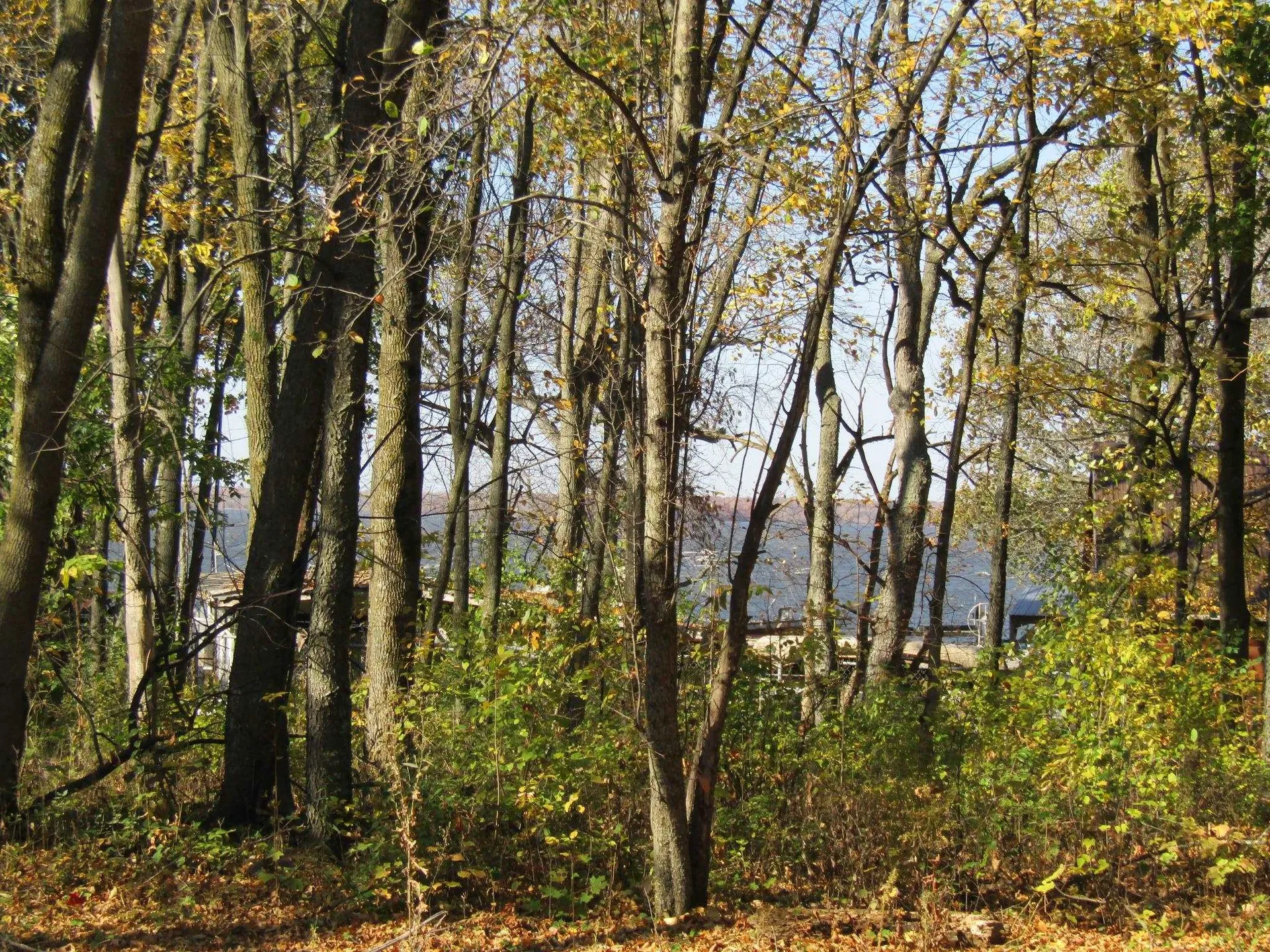 144 Hog Island Road Swanton VT 05488