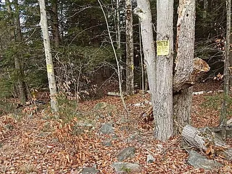 854 Nh Route 119 W Fitzwilliam NH 03447
