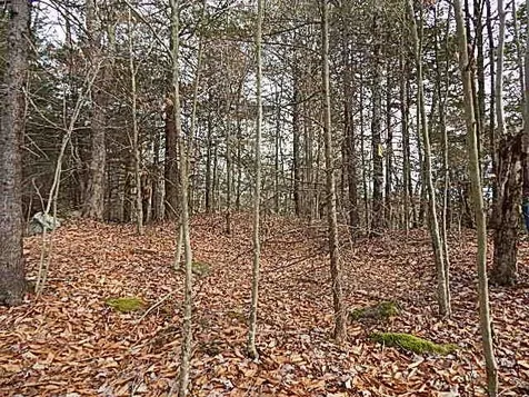 854 Nh Route 119 W Fitzwilliam NH 03447