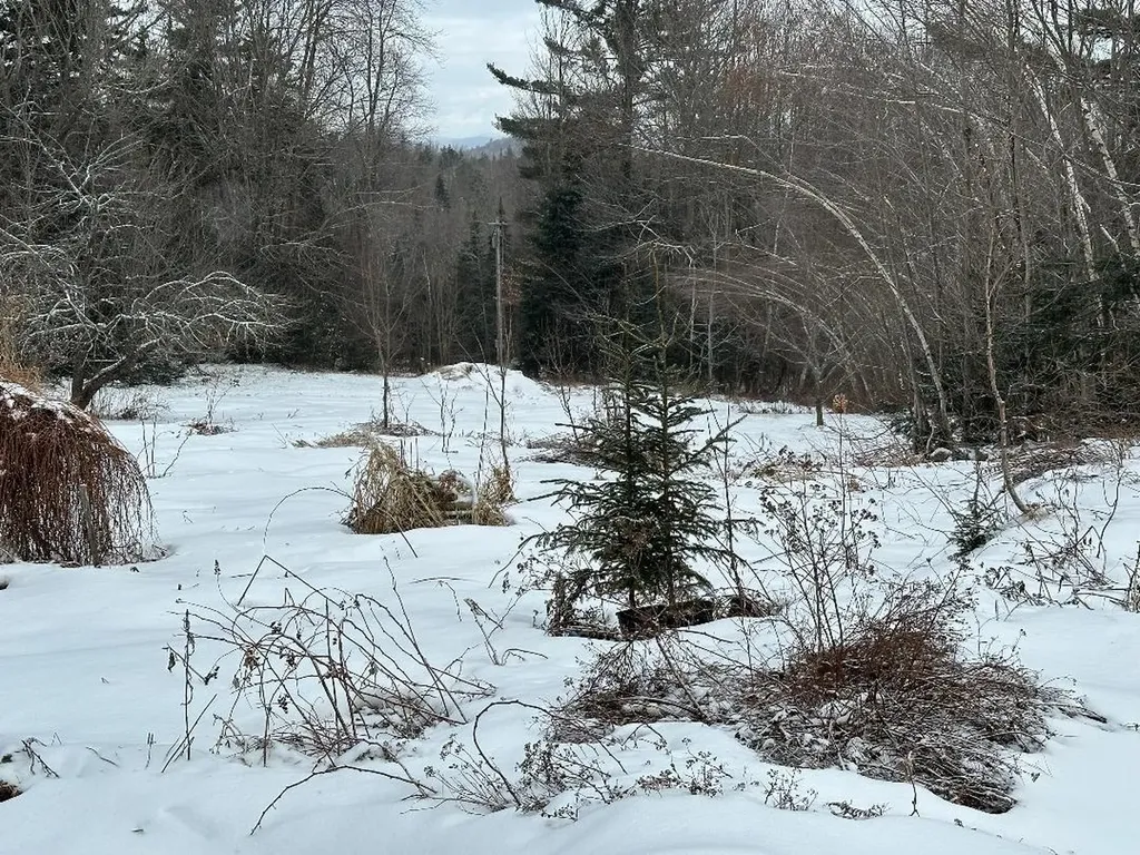 164 Tallman Road Elmore VT 05657