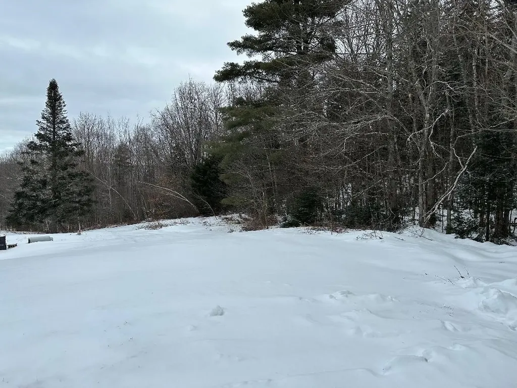 164 Tallman Road Elmore VT 05657
