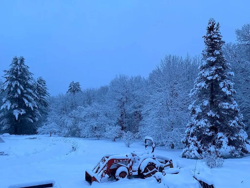 164 Tallman Road Elmore VT 05657