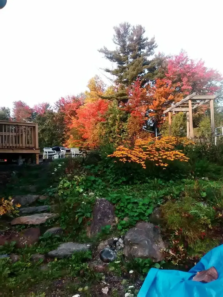 164 Tallman Road Elmore VT 05657