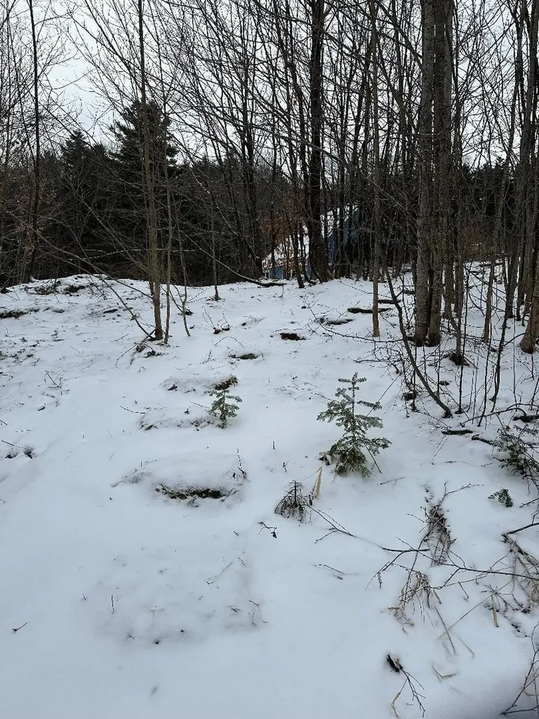 164 Tallman Road Elmore VT 05657