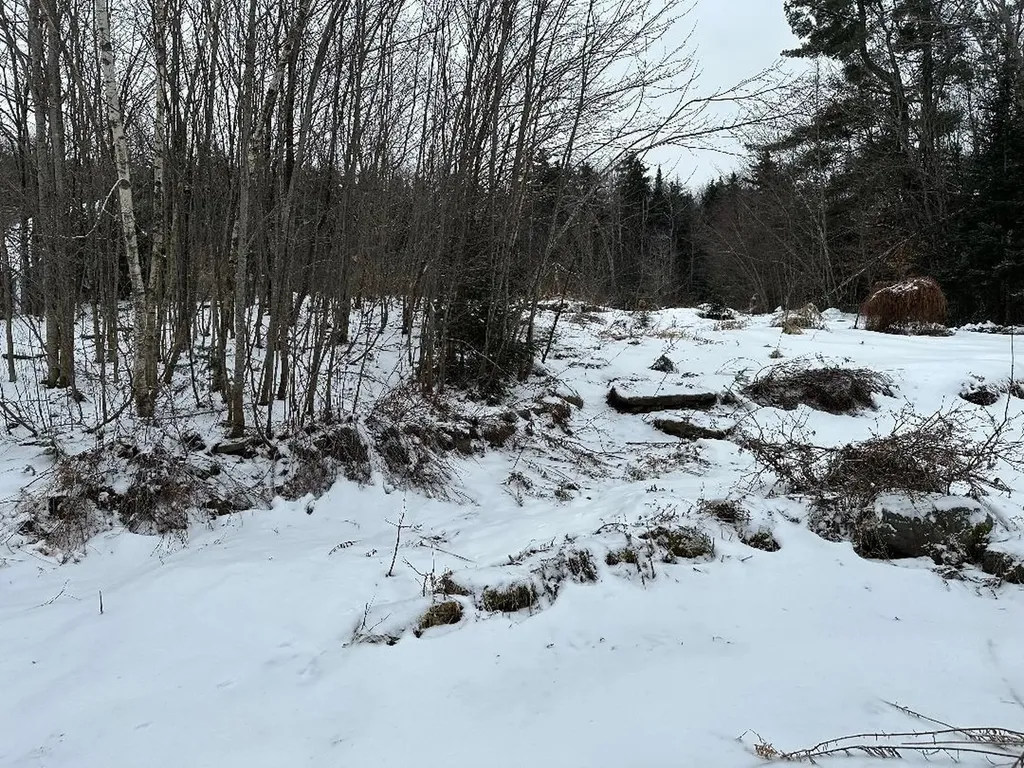 164 Tallman Road Elmore VT 05657