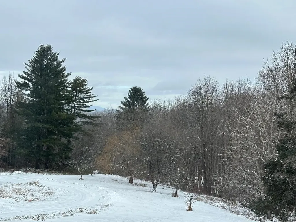 164 Tallman Road Elmore VT 05657