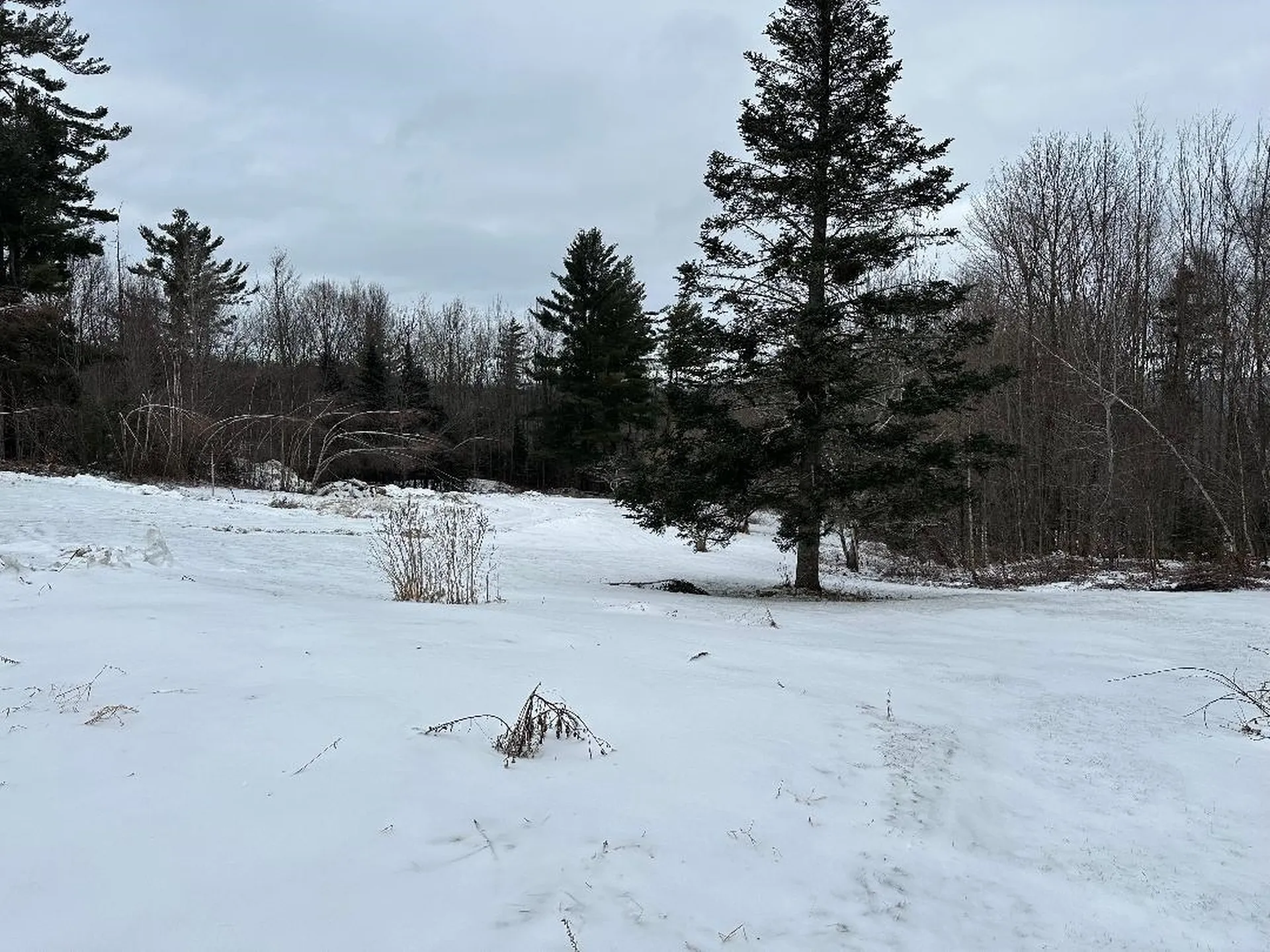 164 Tallman Road Elmore VT 05657