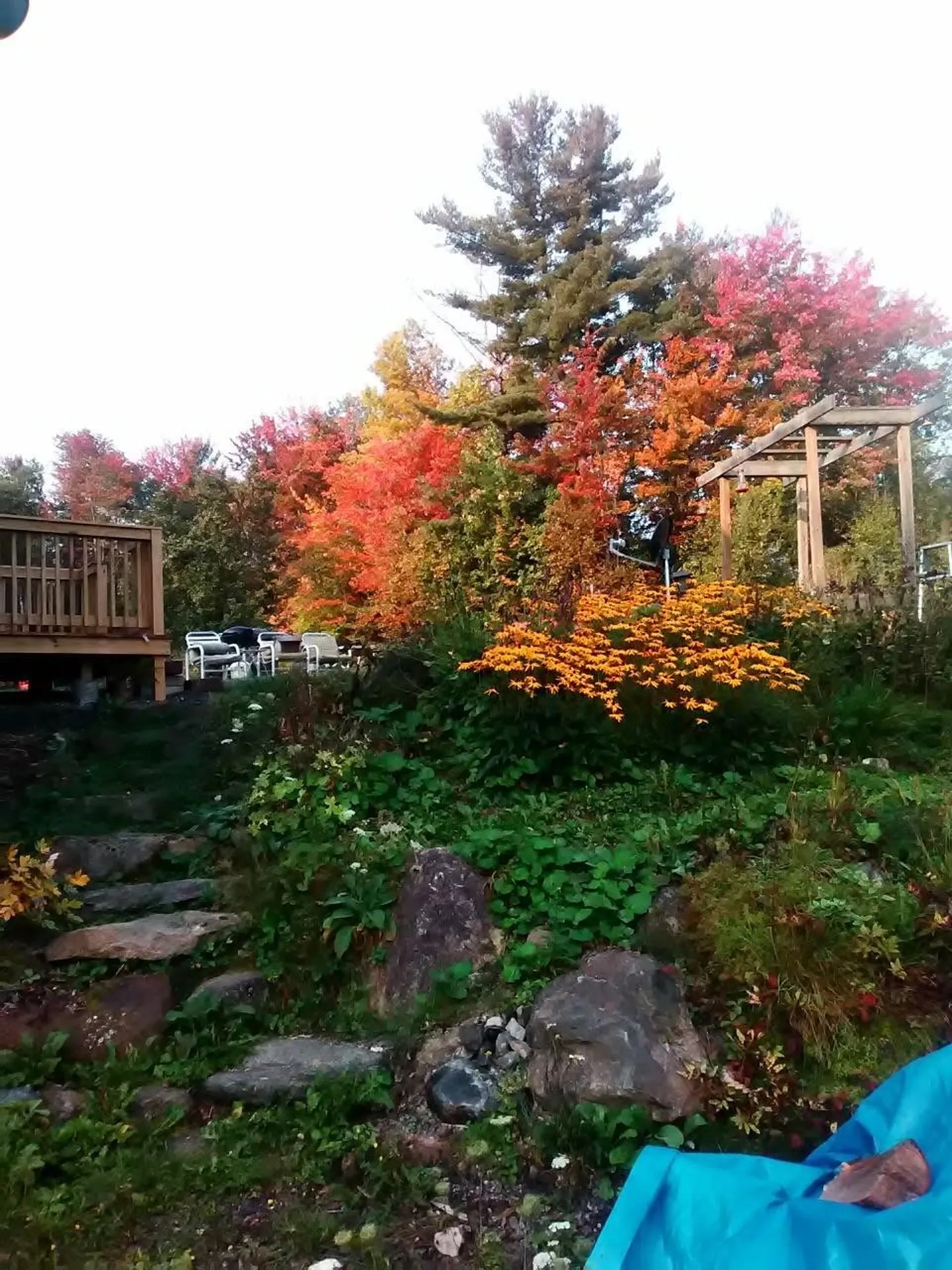 164 Tallman Road Elmore VT 05657