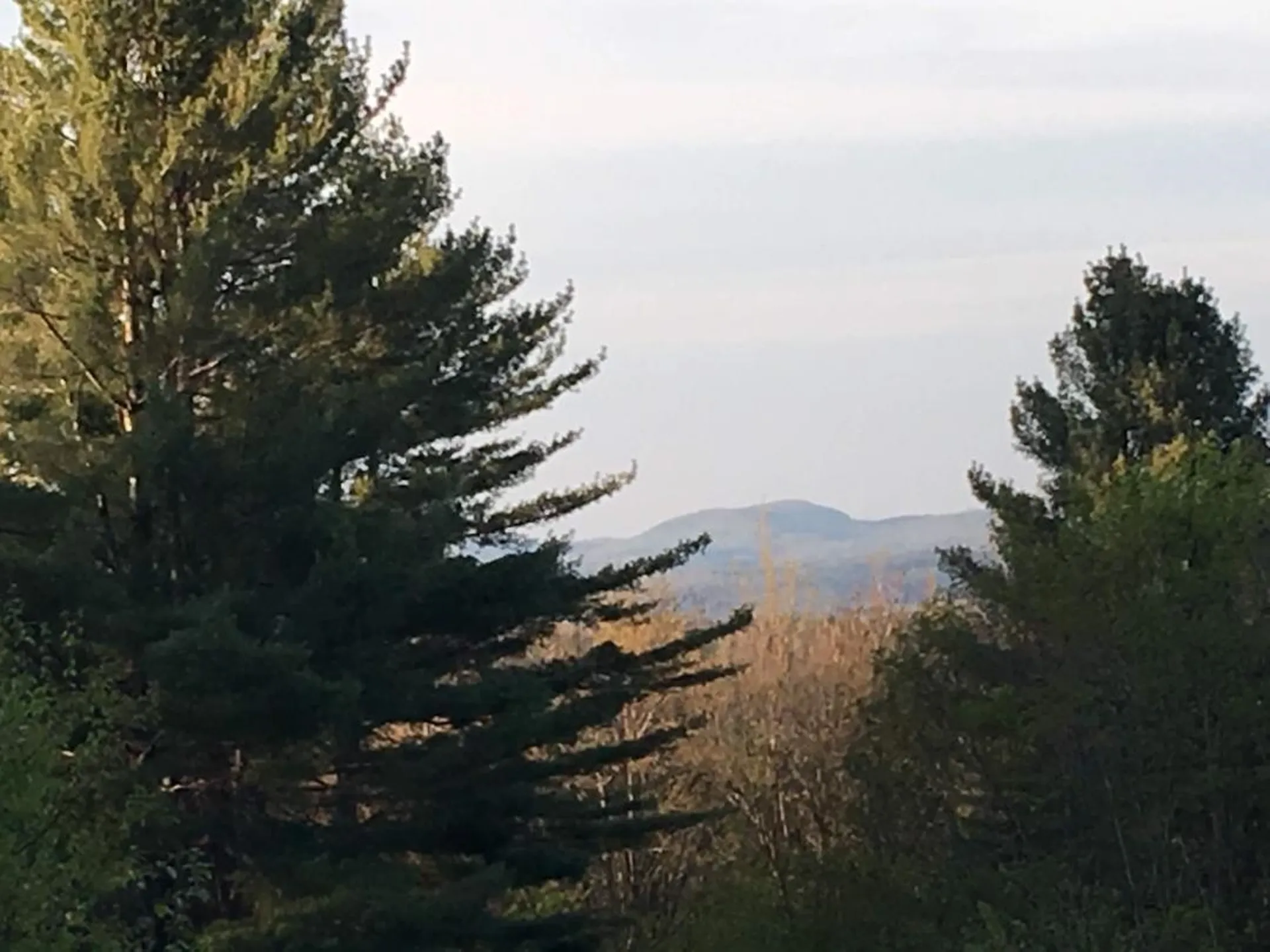 164 Tallman Road Elmore VT 05657