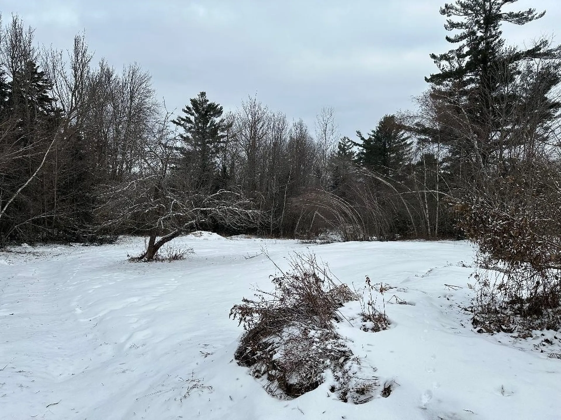 164 Tallman Road Elmore VT 05657