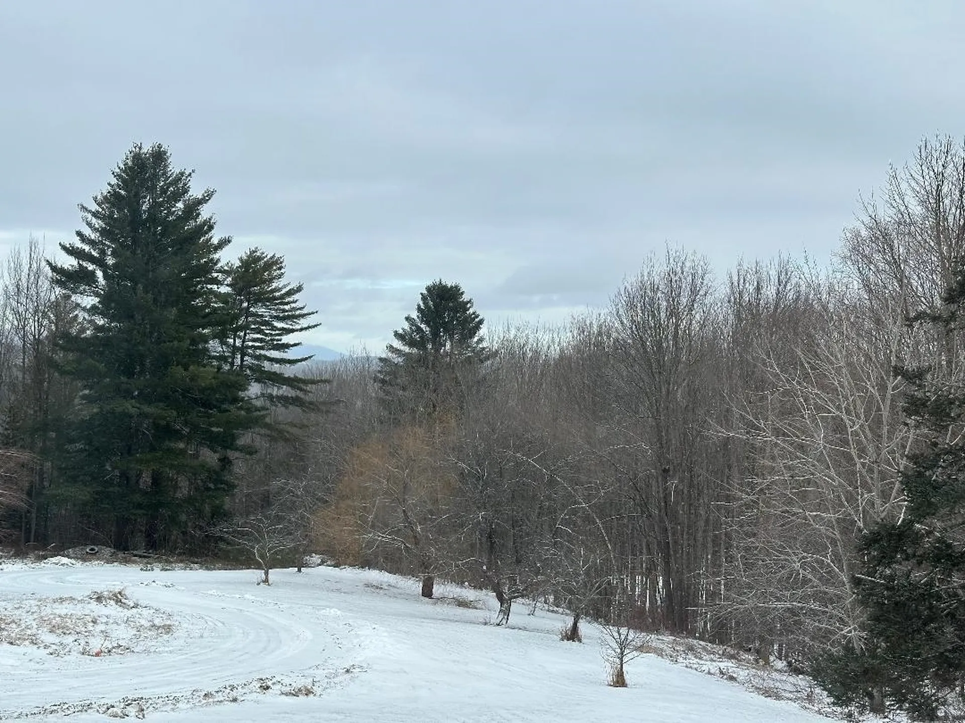 164 Tallman Road Elmore VT 05657