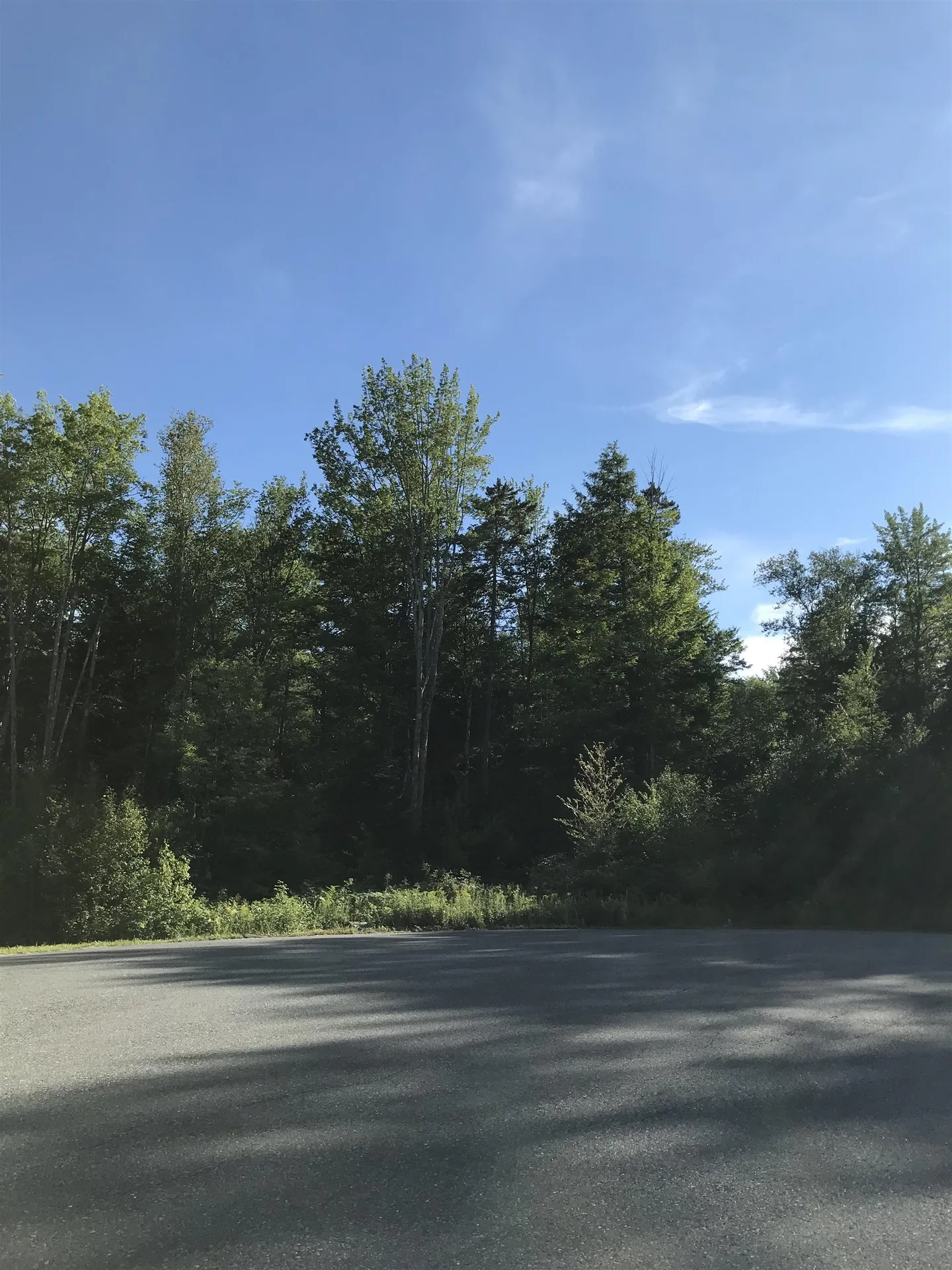 9 Cradle Hill Lane Grantham NH 03753