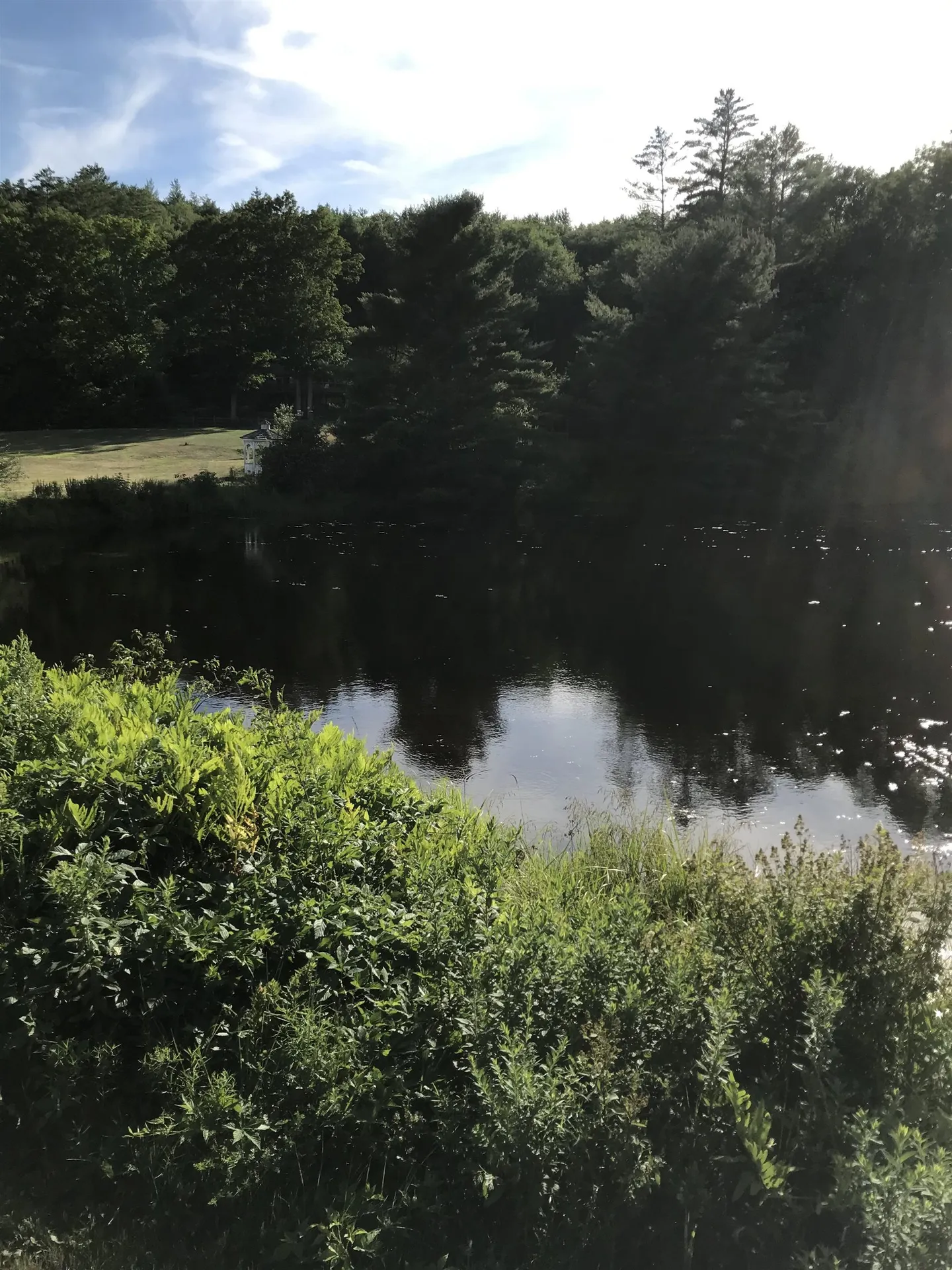 8 Cradle Hill Lane Grantham NH 03753