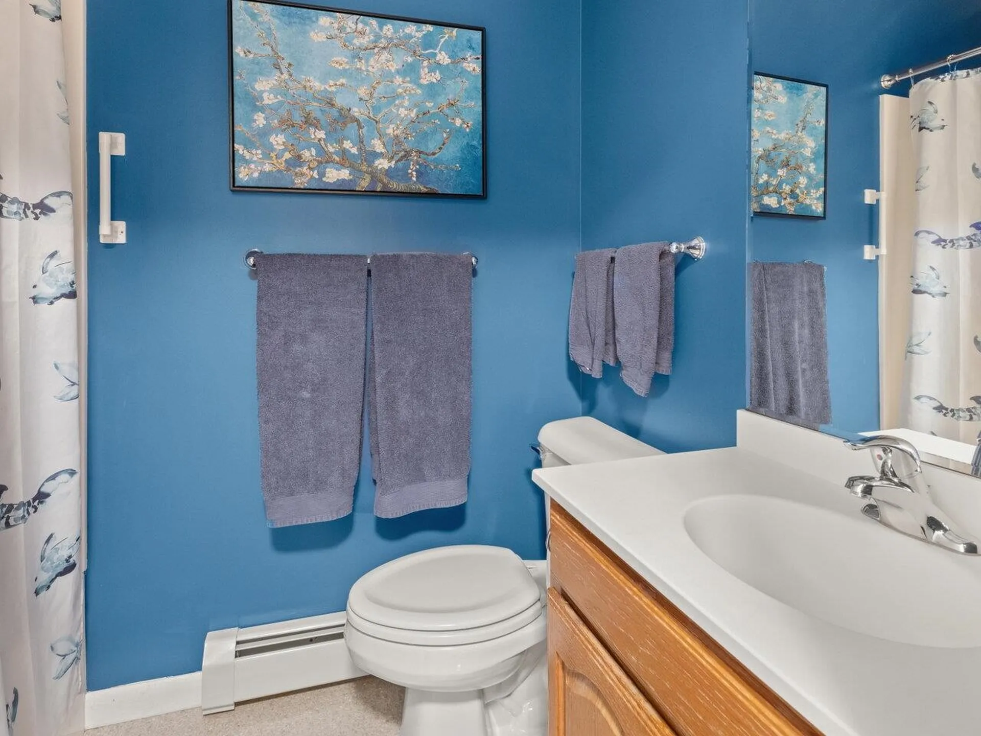 124 Martindale Road Shelburne VT 05482