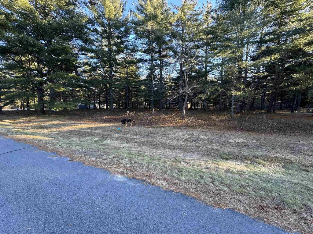 12 Logan Way Ossipee NH 03890