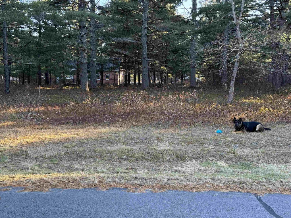 12 Logan Way Ossipee NH 03890