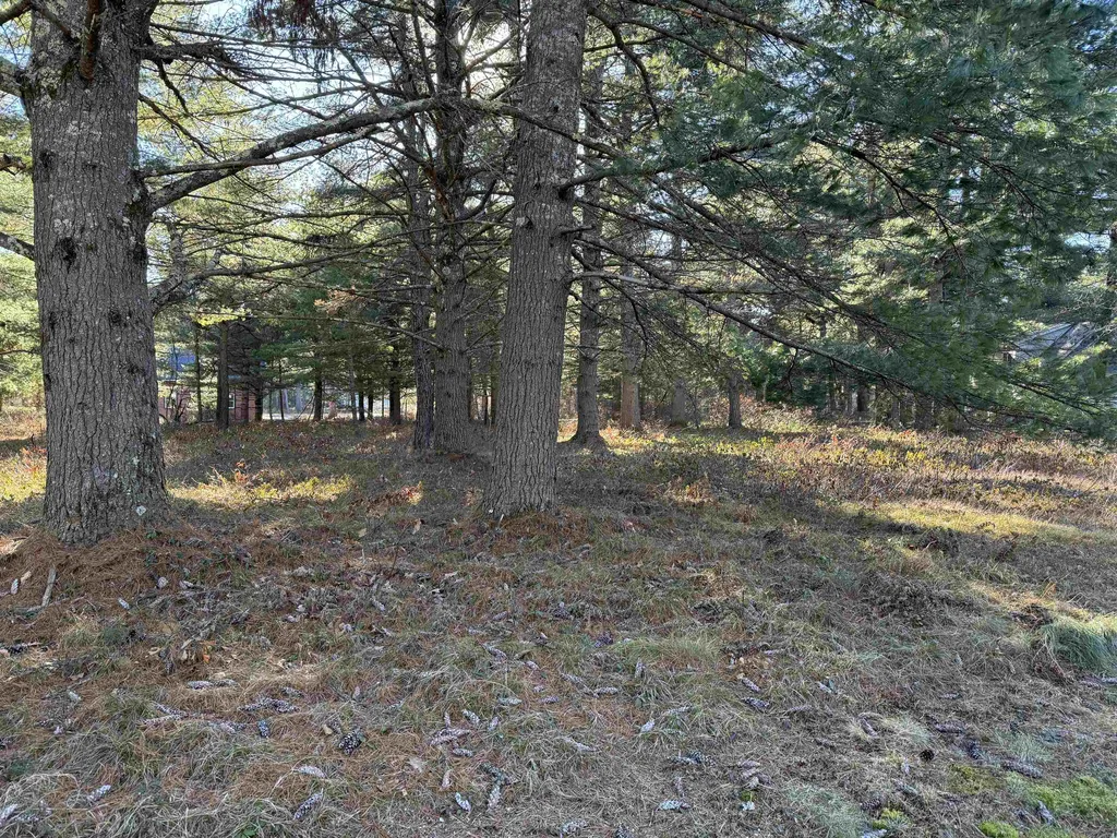 12 Logan Way Ossipee NH 03890