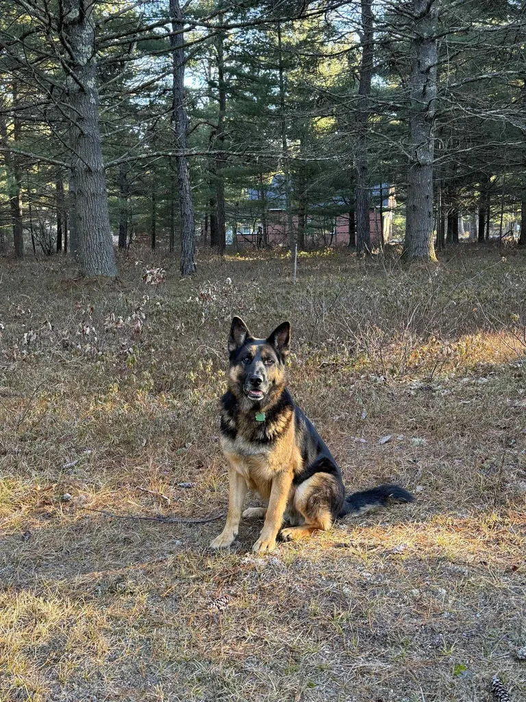 12 Logan Way Ossipee NH 03890