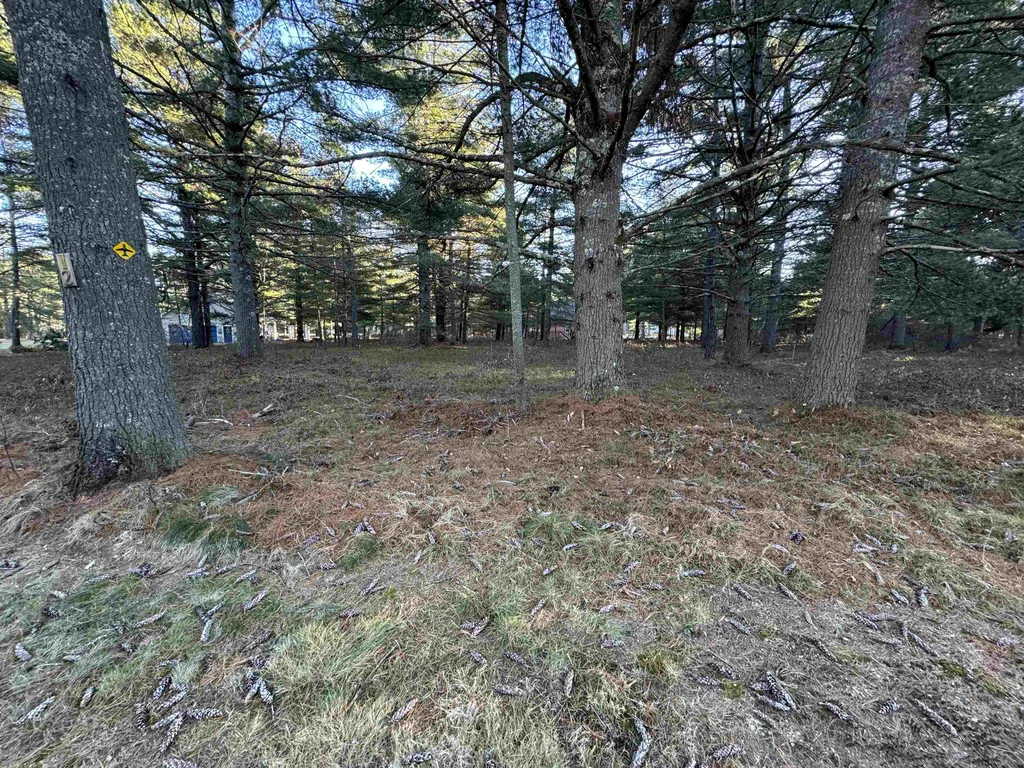 12 Logan Way Ossipee NH 03890