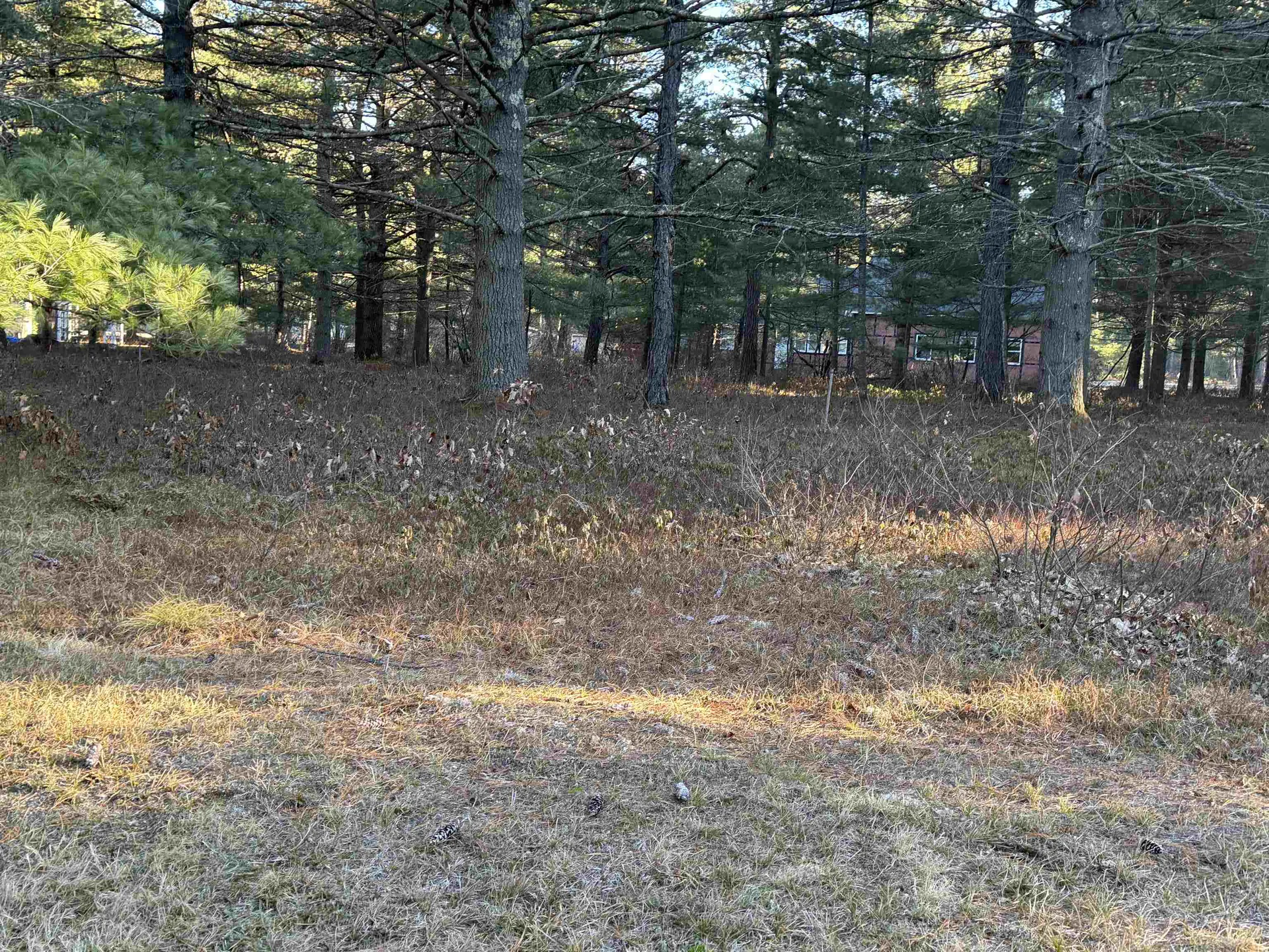 12 Logan Way Ossipee NH 03890