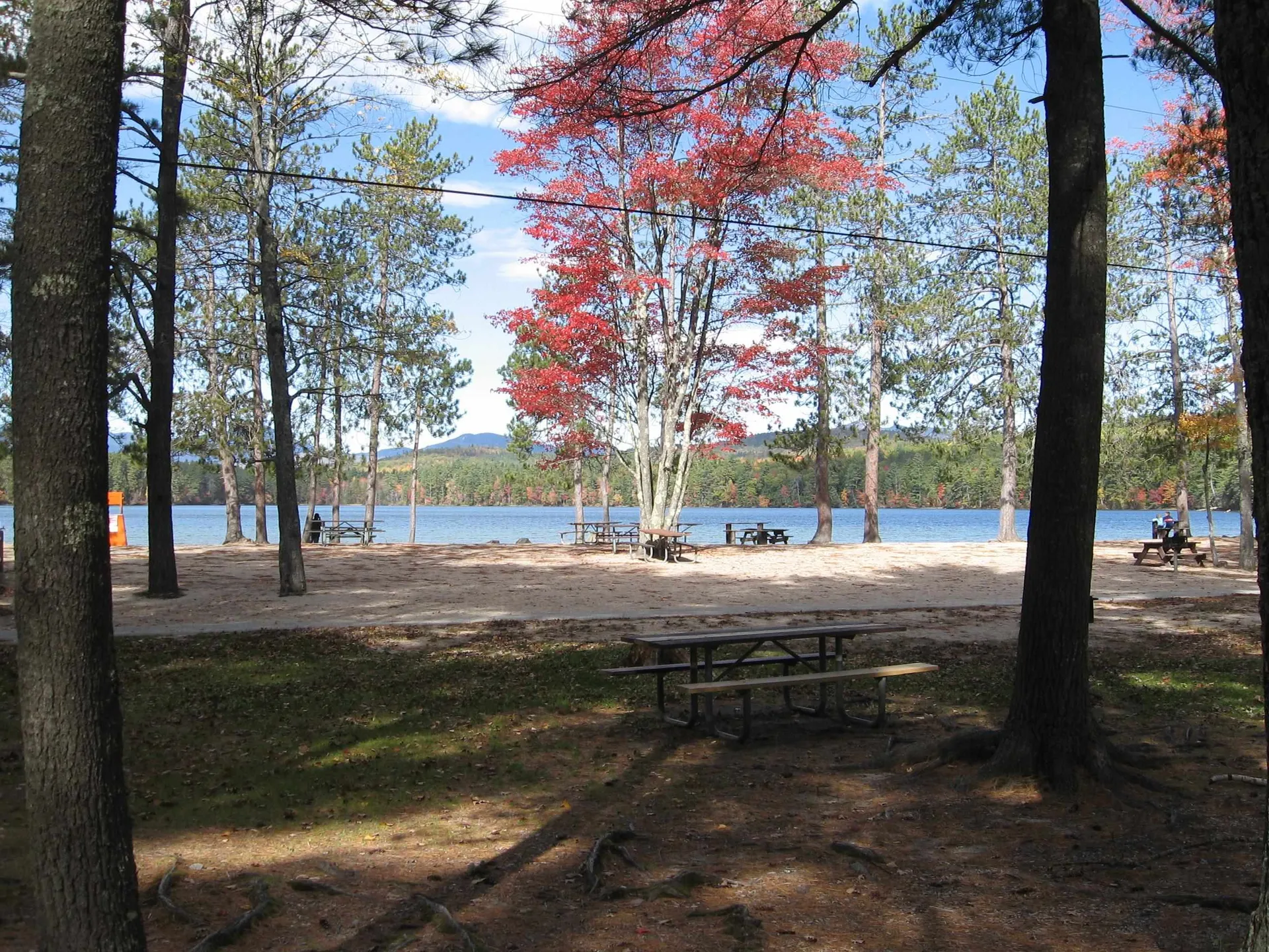 12 Logan Way Ossipee NH 03890